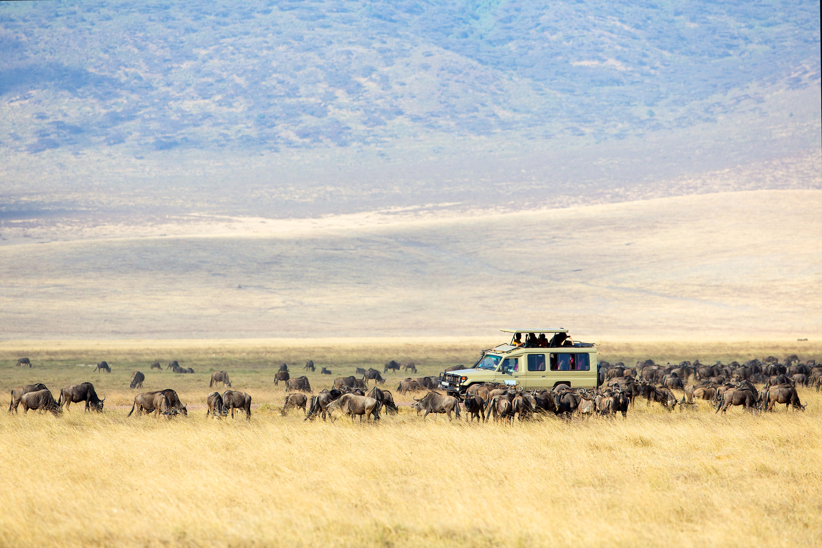 safari kenia mejor epoca