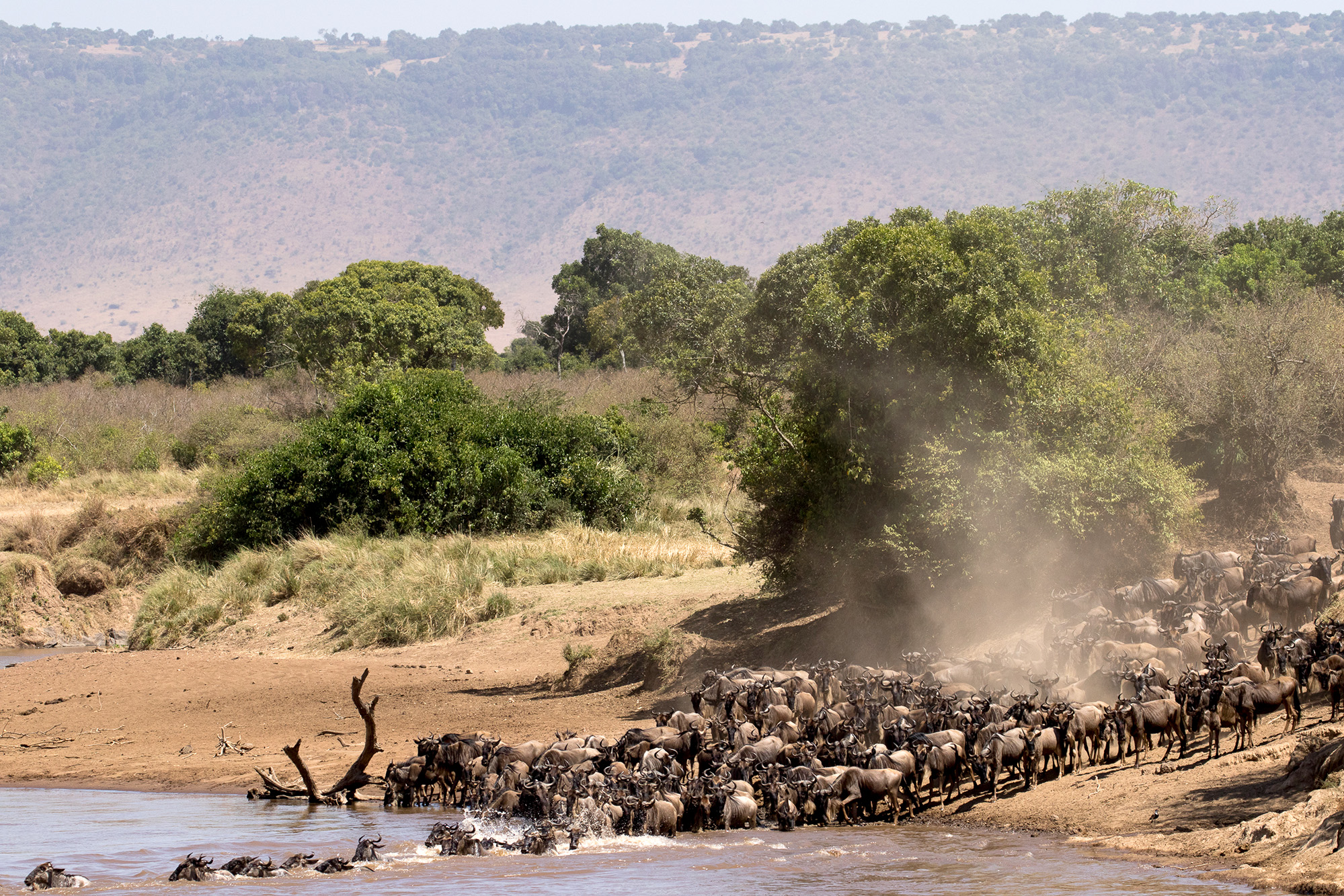 Información Sobre El Parque Kruger | Aventura África™ – Sudáfrica