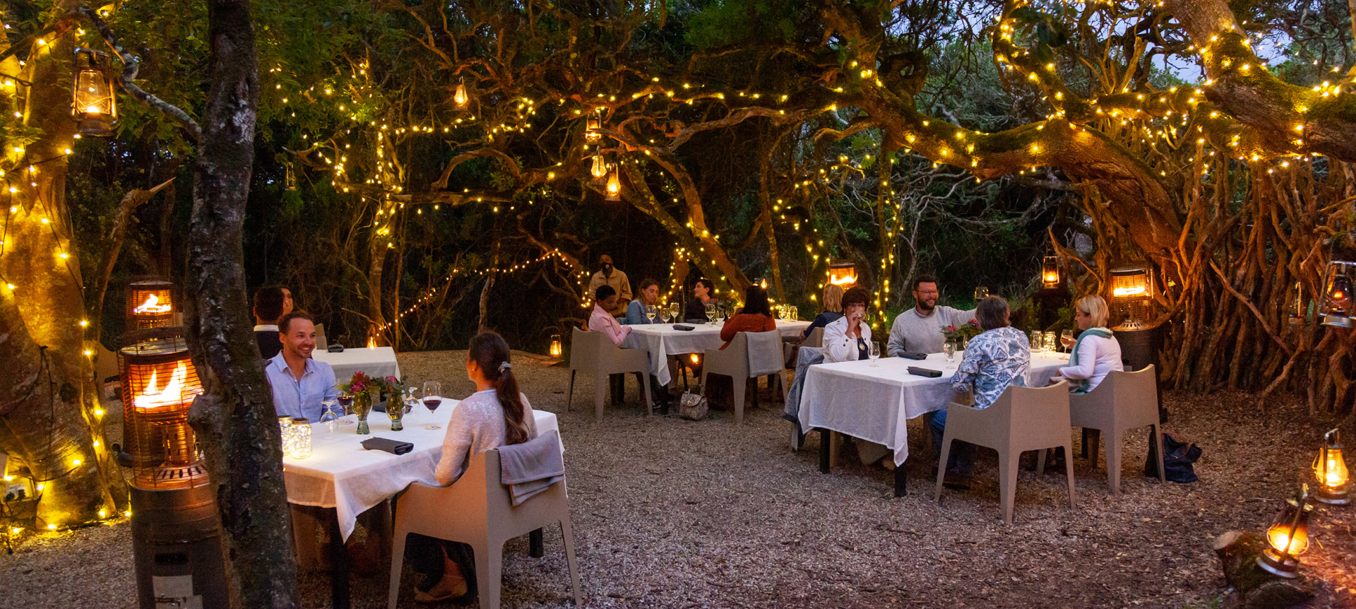 grootbos-privata-reserva-natural-boma-cena.jpg